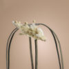 Kit Wedding - immagine 4