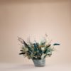 Anemone - immagine 2