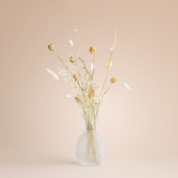 Set Nature - Image 2